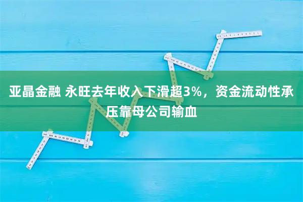 亚晶金融 永旺去年收入下滑超3%，资金流动性承压靠母公司输血
