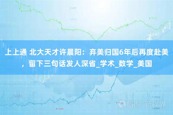 上上通 北大天才许晨阳:弃美归国6年后再度赴美,留下三句话发人深省_学术_数学_美国